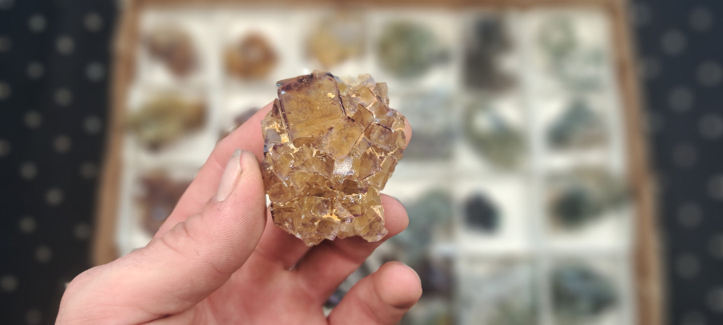 Namibian Fluorite