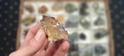 Namibian Fluorite