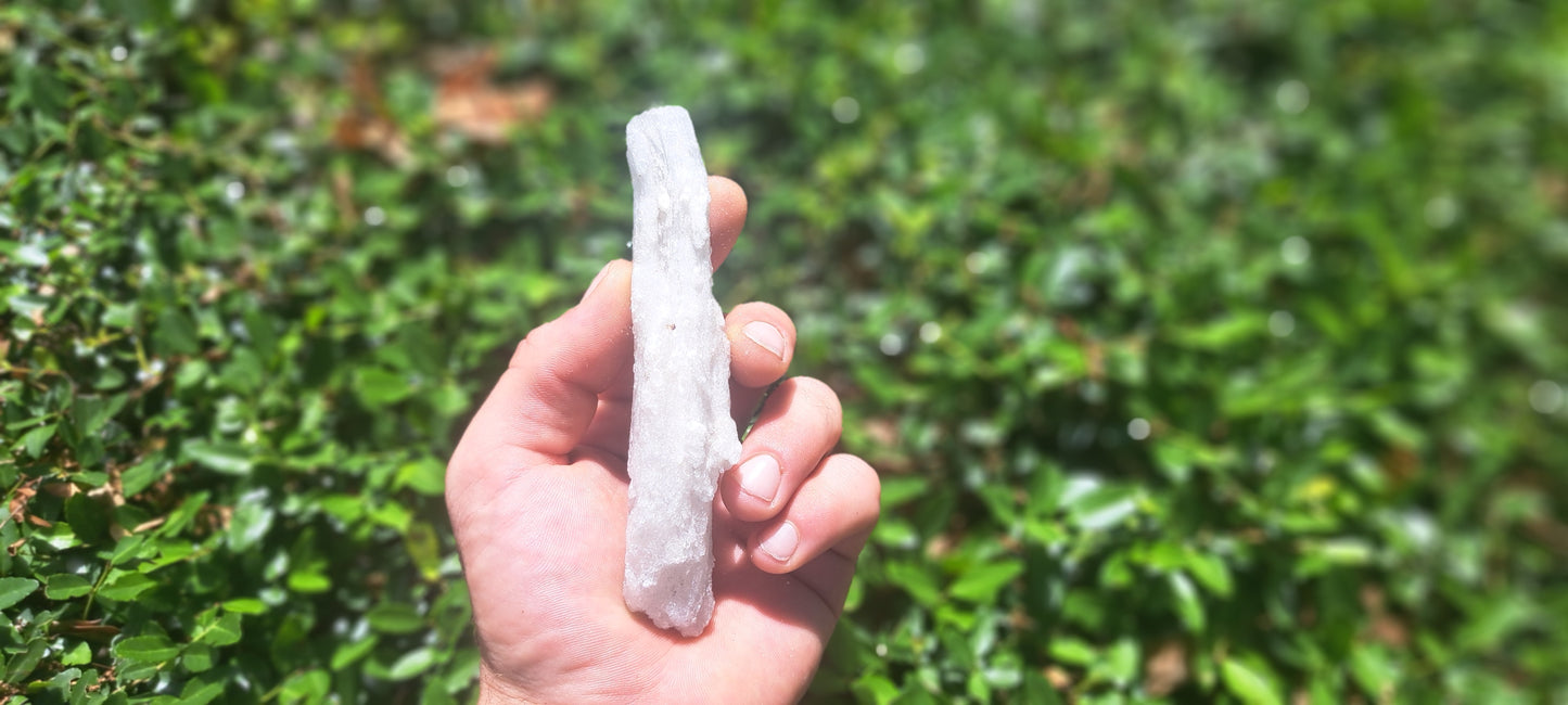 Rams Horn Selenite