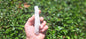 Rams Horn Selenite