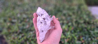 Lemurian Quartz