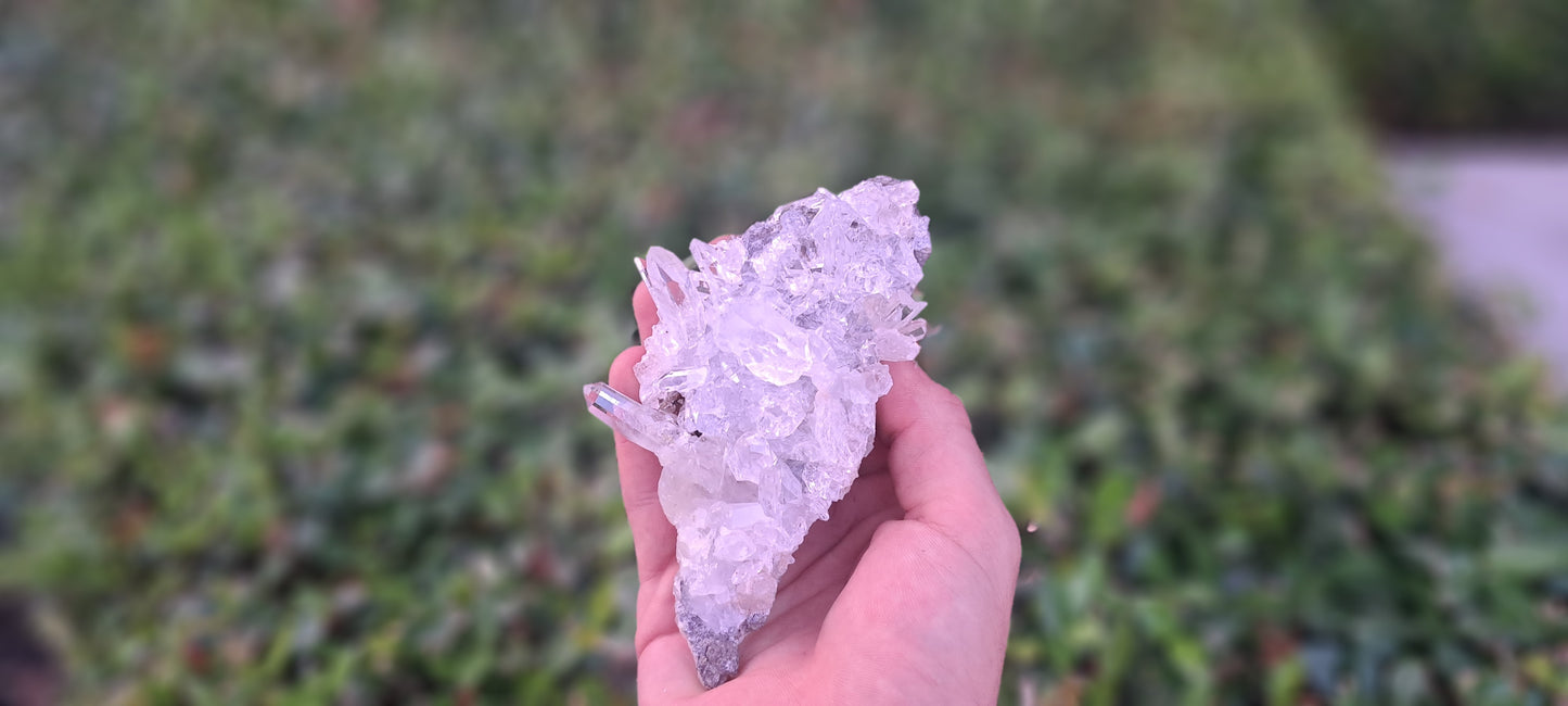 Lemurian Quartz