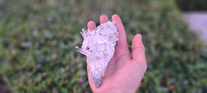 Lemurian Quartz