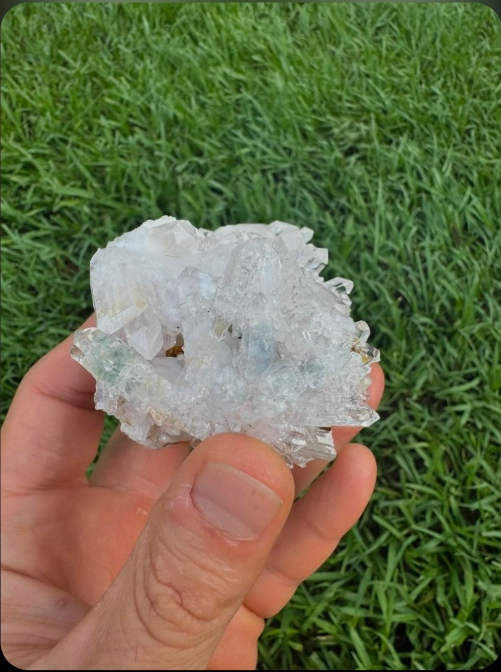 Lemurian Quartz