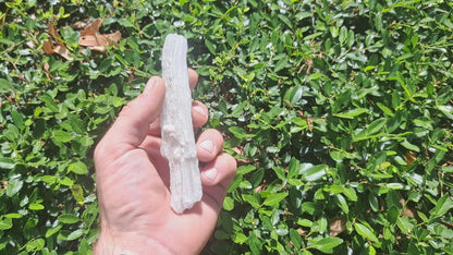 Rams Horn Selenite