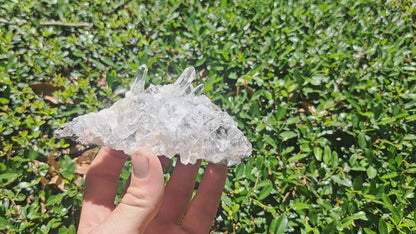 Lemurian Quartz